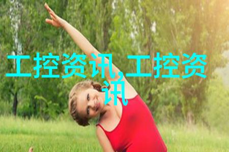 在高科技应用如纳米技术能源储存等领域我们需要用到哪些特殊种类的精细化学品作为核心组分