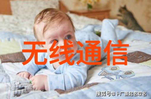 丝网波纹填料装填方式-精细工艺丝网波纹填料装填技巧与应用