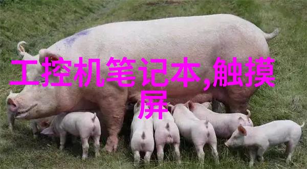 焚火之炉不锈钢管的逆袭