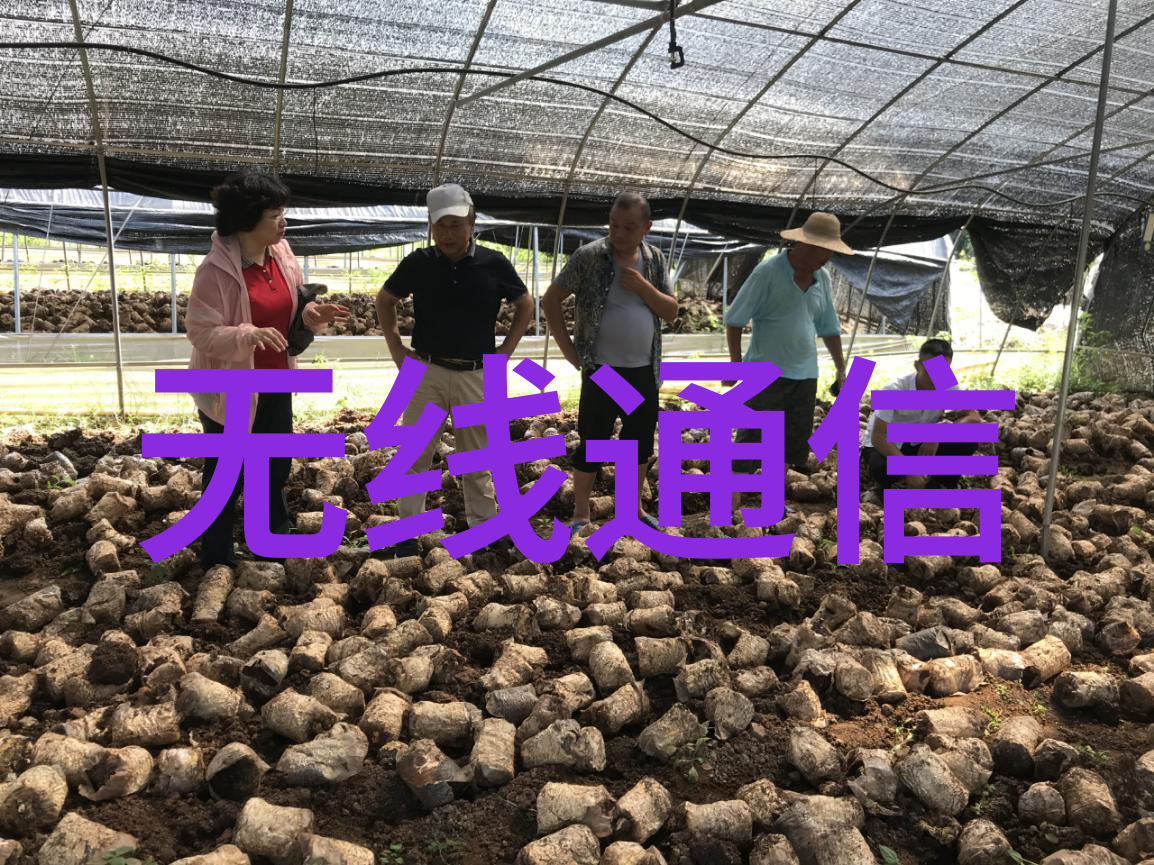 家居装饰-今朝装饰公司精致生活的艺术品
