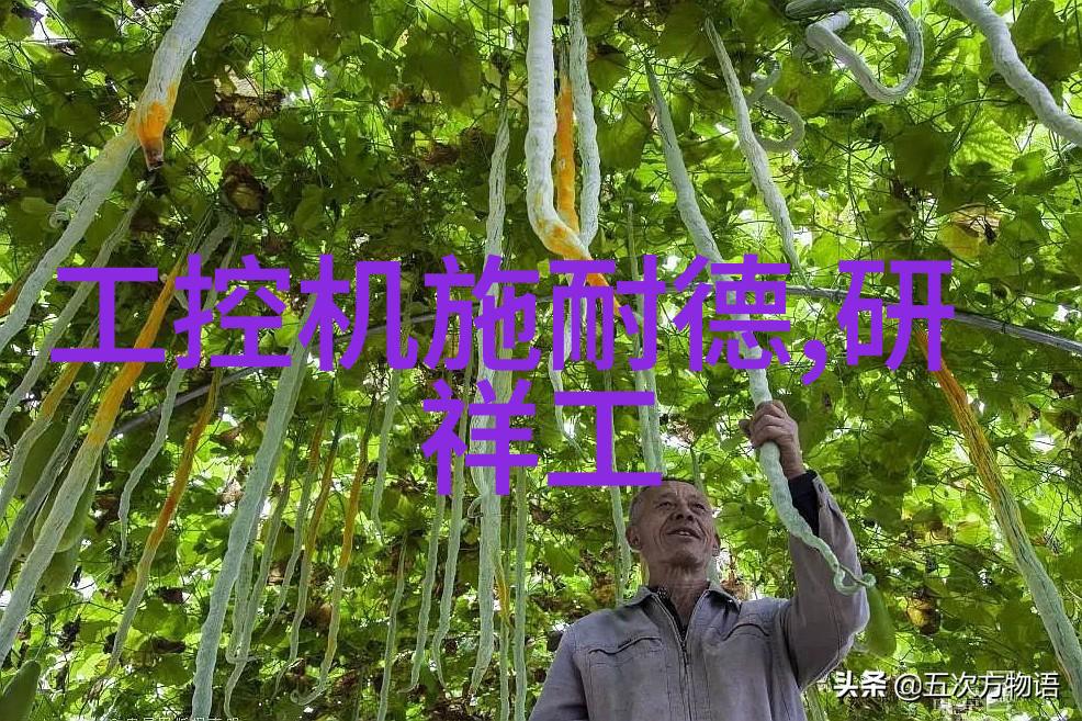 麻花传媒MV一二三区别探究解析不同版本的差异与特点
