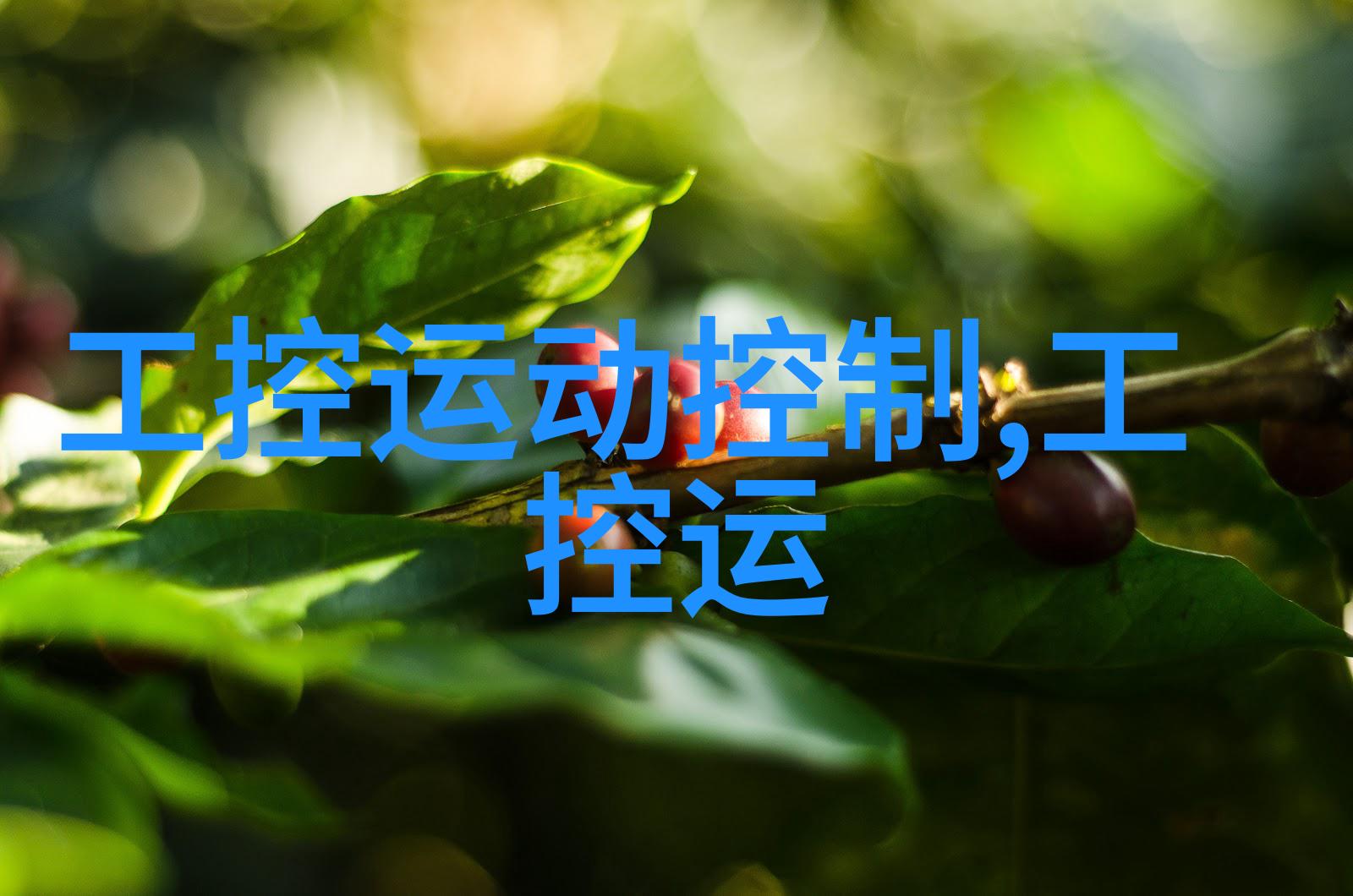 水质检测标准安全饮用水质量检测