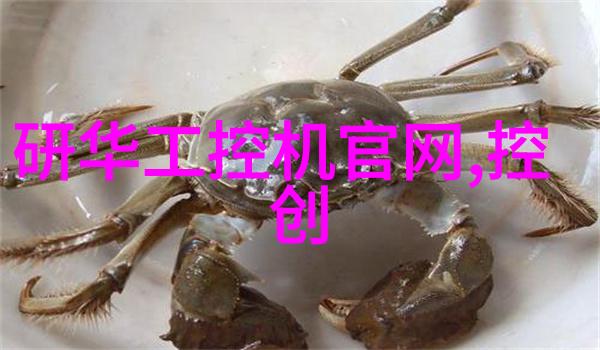放放电影库 - 映象与记忆探索放放电影库中的影视宝藏