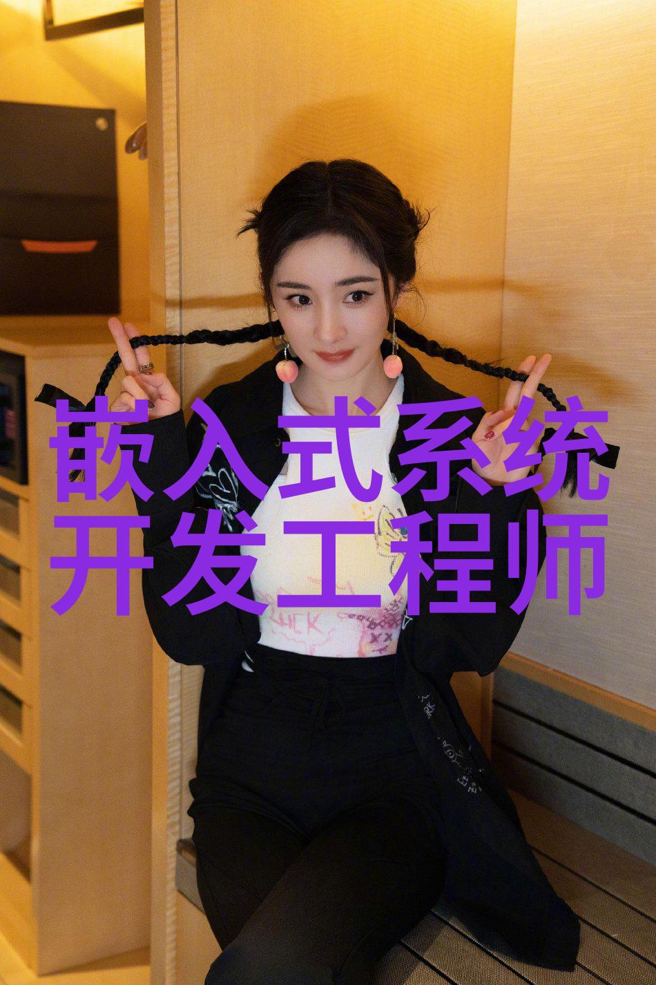 主题我是如何使用电热蒸汽发生器的