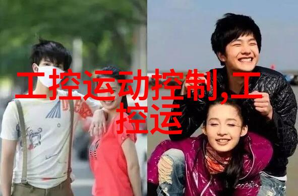 蒸汽换热器之谜如何解锁其内在的能量潜力
