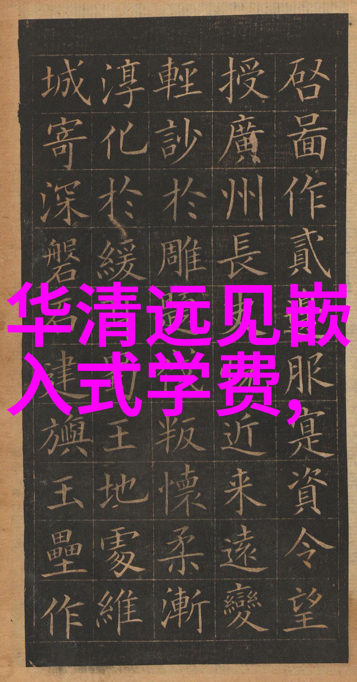 螺旋板式换热器正如一台精密的检重机它通过无数细微的转动确保了物体质量的准确传递