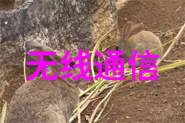 板式蒸发器我是如何用它来做出一顿美味的家常菜的
