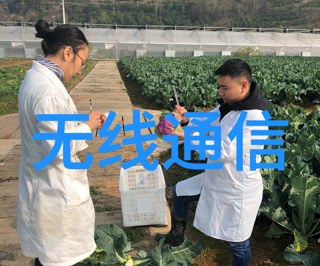 墙体的装修材料犹如水平仪一般精准地指引着空间的美学