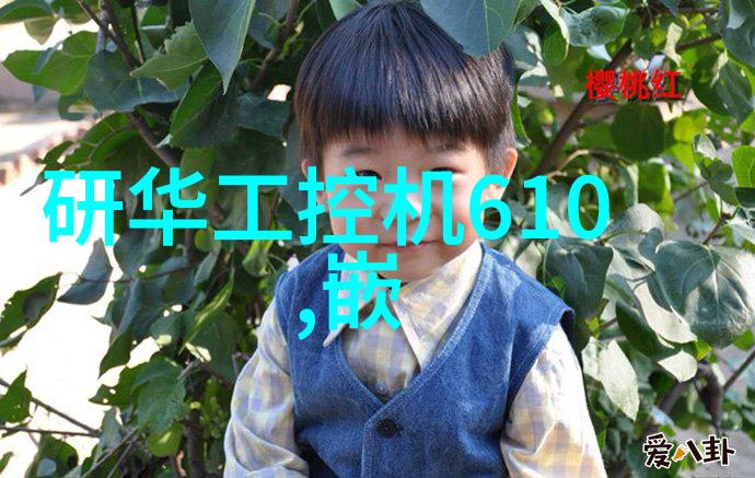 探索家装新趋势现代简约风格与传统复古的和谐共生