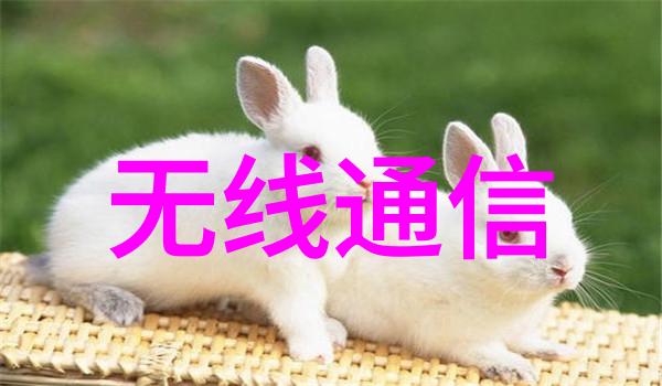 不锈钢风机耐腐蚀的空气搬运者