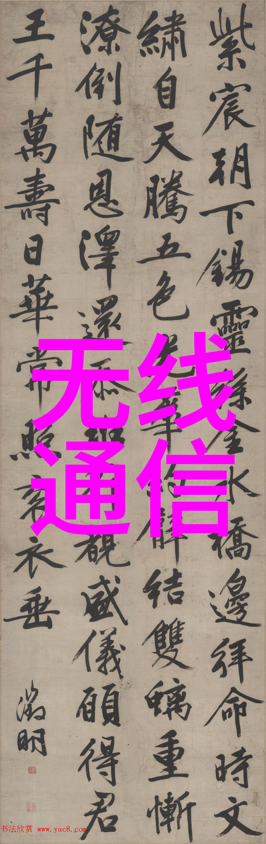网易财经深度解读A股市场新趋势与投资策略