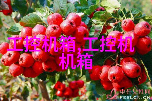在食品加工中高速离心机有哪些独特的应用