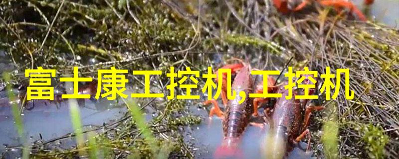 皮带输送机设备链条上的机械诗人