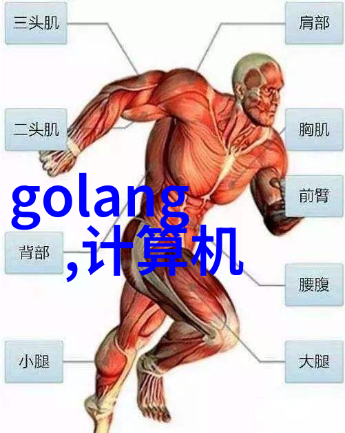 家用不锈钢货架的设计优化与应用前景探究