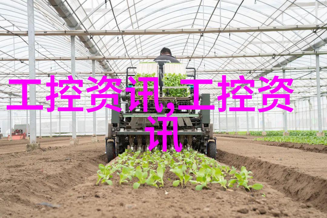 保障网-构建坚固的保障网确保社会稳定与发展的基石