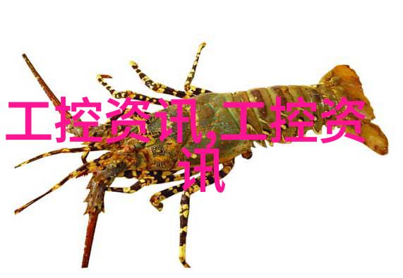 基础处理确保新地面的坚固性与平整度