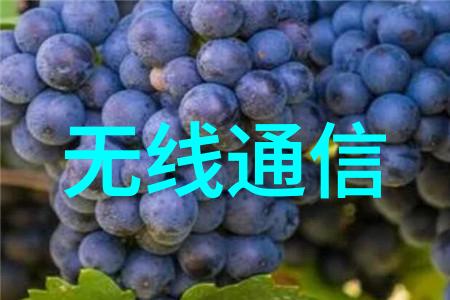 案例研究成功应用于不同规模企业的化工废水处理方案分析