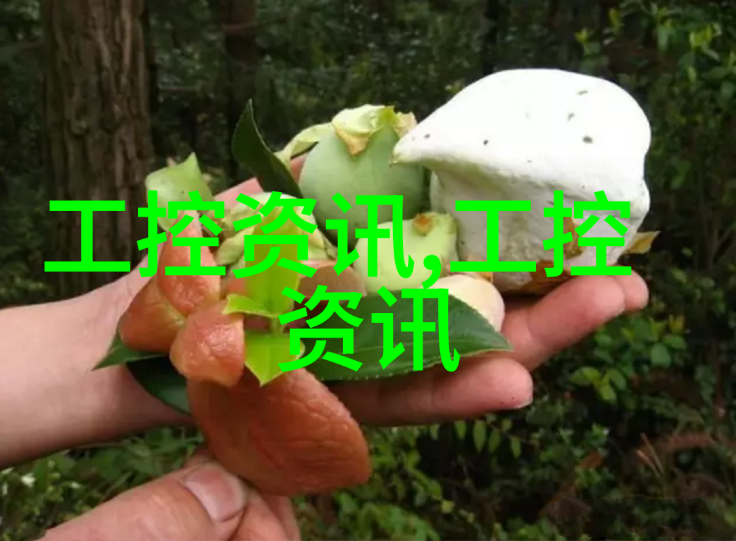 排水管材种类探究与选择指南