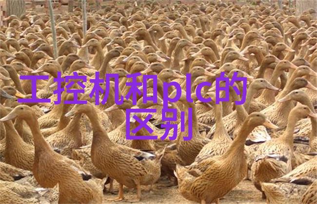 云计算环境下的分级保护测试指南