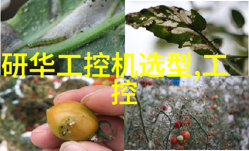 简约生活我是如何让客厅变得温馨又简洁的
