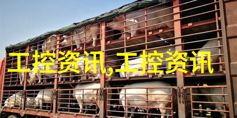 中国塑料网绿色循环可持续发展