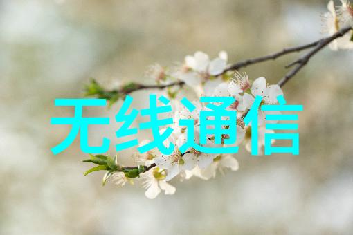 新风呼啸中央新风系统的静谧革命