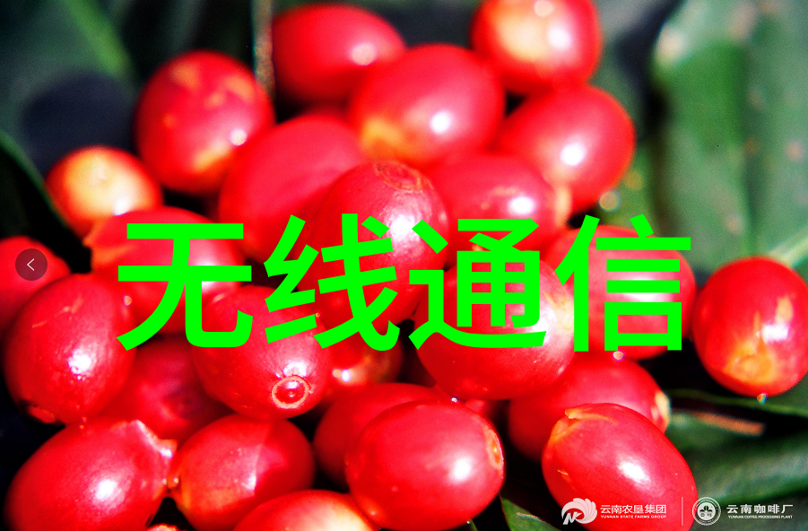 开启知识创新的钥匙个人专利查询免费入口探索