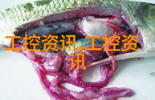机器的静默与物质的颤抖压滤机中的反差