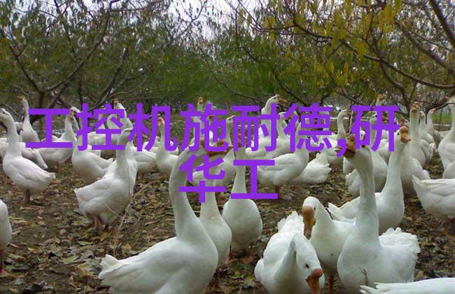 波兰液化天然气码头扩建进展顺利