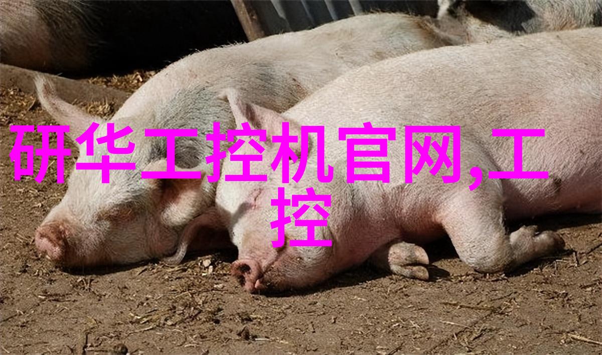 装修房子先装什么后装什么揭秘家居美学的正确顺序