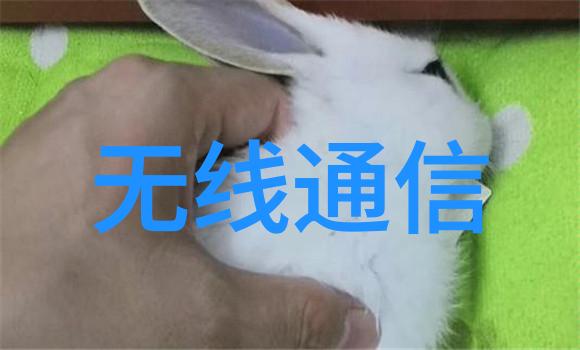 在新居的画卷中遮光窗帘如同守护者守护着每一缕温柔的阳光闺蜜之言如春风拂面我们需知晓其中含有的化学物质