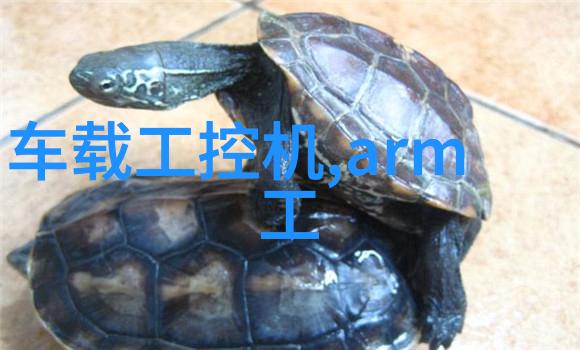 自动化运作现代工业自动化中的煤炭分选机角色