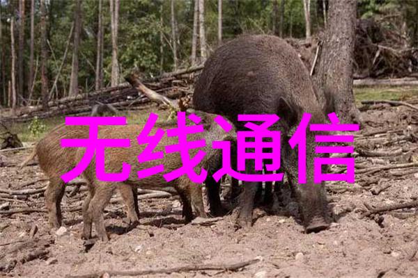 清澈源自深处水处理公司的科技奇迹