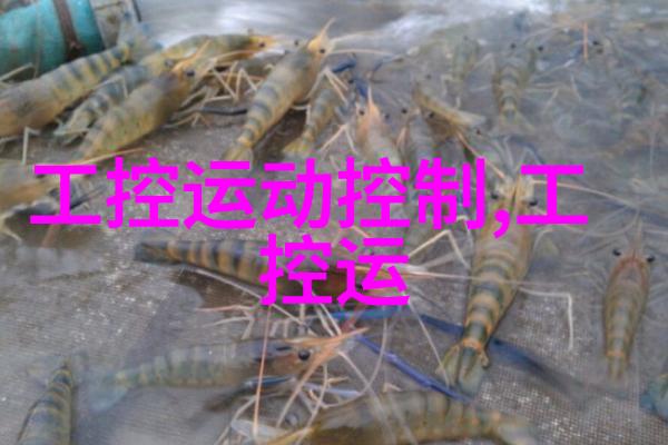 全屋定制家具我的梦想空间