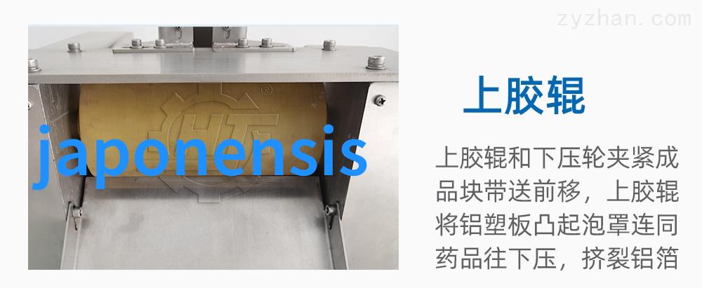 不锈钢波纹填料的多样用途家具制造工业装备厨房用品
