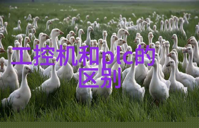 什么是高温瞬时灭菌技术它如何工作来杀死细菌
