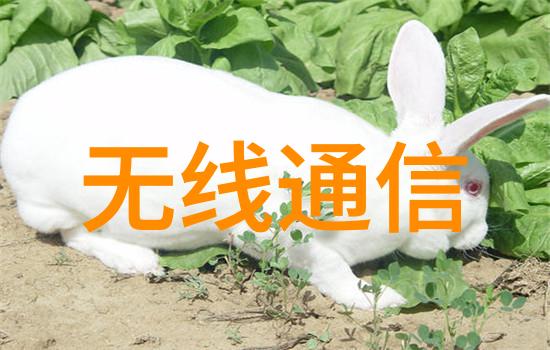 注射剂机械操作精密医疗设备的正确使用