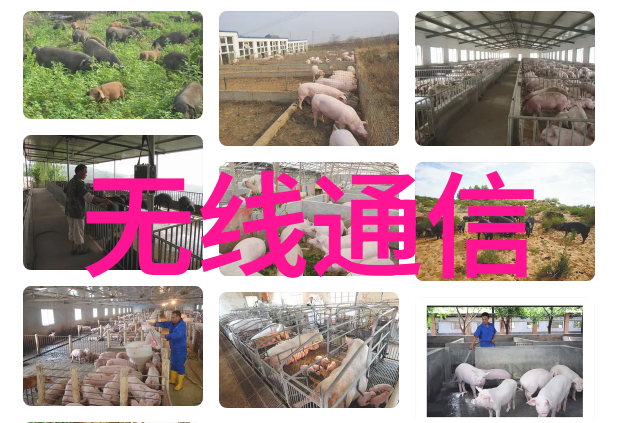 砂石制备技术中的新兴趋势分析现代砂机设备的性能与应用前景