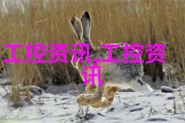中国芯片梦想被谁打断了