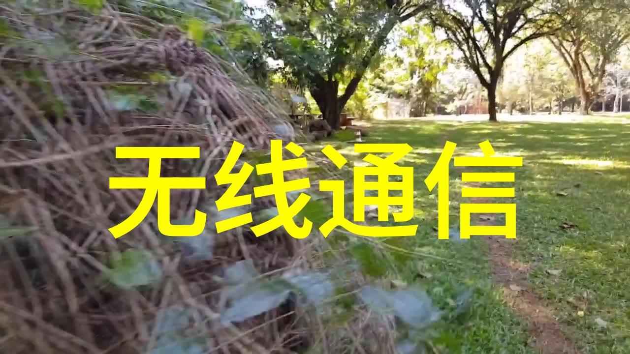 万盛股份股票最新信息-万盛股份股价走势分析与投资策略分享
