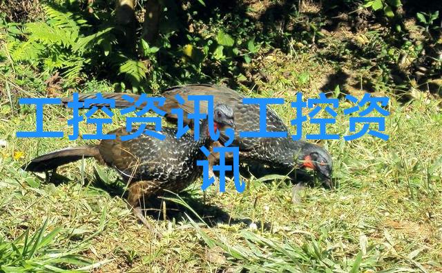 丝网波纹填料规整填料标准精细制造的艺术与科技