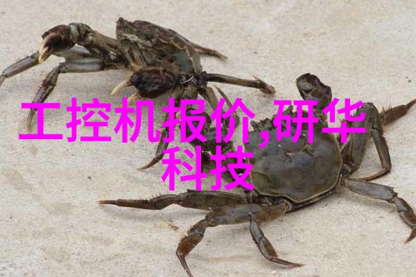 揭秘内心深度探究性格心理测试的奥秘与应用