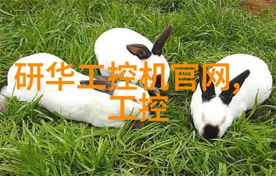 250y孔板填料-提升过滤效率250y孔板填料在水处理领域的应用探究