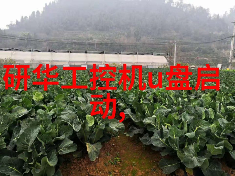 中式古典园林传统中国的美丽景观