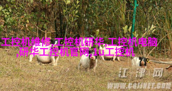 欧式奢华風格
