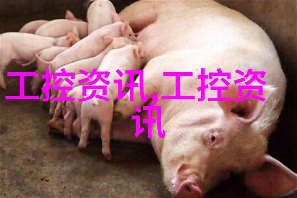 蒸汽换热器从熔炉到温水瓶的奇幻旅程