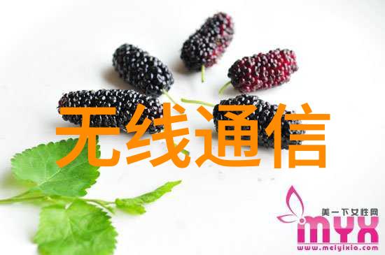 北京卫视带你走进美好家居生活的艺术空间