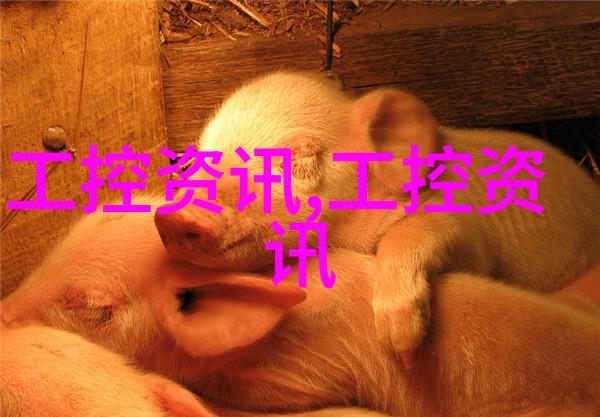 家用和商用压力锅的区别及其选择标准