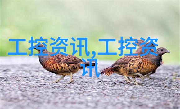 安全操作指南避免常见事故在化工灌装过程中发生