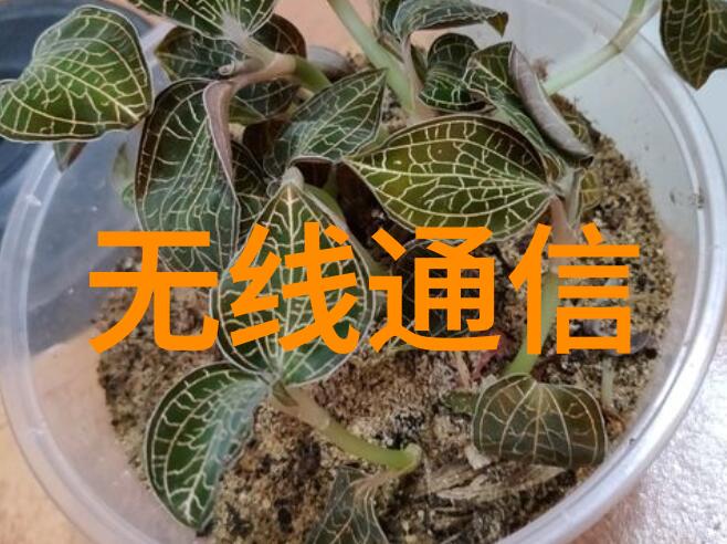 专利之旅从创意到保护的步骤指南